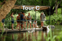 Tour B
